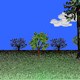screen_outdoor_anim.gif (25654 bytes)